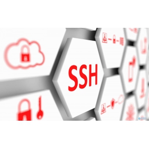 保护您的数字堡垒 - SSH密钥：现代网络安全中的安全4.0