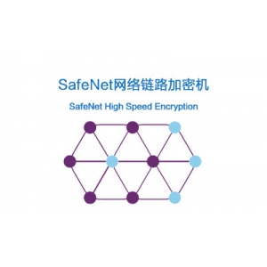 SafeNet High Speed Encryption（HSE）高速网络链路加密机