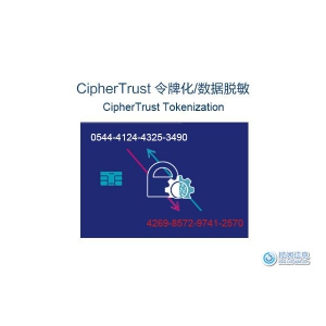 CipherTrust Tokenization（令牌化/数据脱敏）