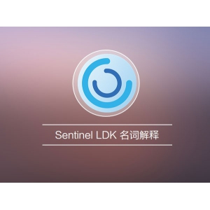 Sentinel LDK加密锁操作视频：名词解释